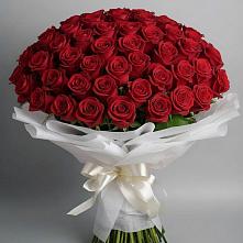 Букет 101 Красная роза Блэк Мэджик в Чограйском