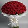 Букет 101 Красная роза Блэк Мэджик в Чограйском