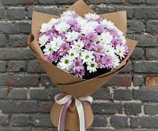 Букет цветов из:  Хризантемы #REPLACE_PRED# Чограйском