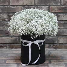 Цветочная композиция из Гипсофила в шляпной коробке в Чограйском