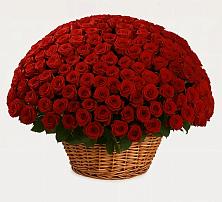 Премиум букет из: Розы в Чограйском