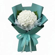 Букет цветов из:  Гортензия #REPLACE_PRED# Чограйском